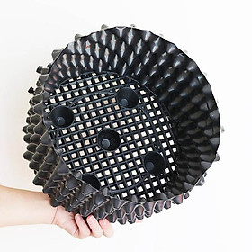 Bầu ươm cây cảnh Ecopot cao 30cm x 50m