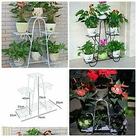 Mua Kệ sắt để chậu cây cảnh
