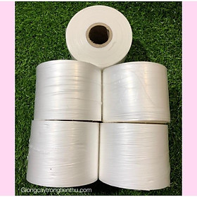 Mua COMBO 5 CUỘN GIẤY  NILON GHÉP CÂY GIỐNG TỰ HUỶ 8 x 10cm