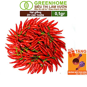Mua Hạt Giống Gia Vị Greenhome  Nhiều Loại  Trồng Chậu  Dễ Trồng  Chịu Nhiệt  Trồng Quanh Năm  Năng Suất