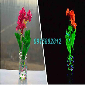 Mua SƠN DẠ QUANG-Z188  Abán x0ng