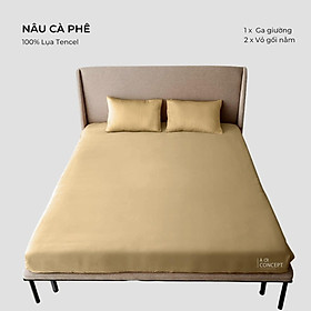 Combo 3 Món Lụa Tencel Ga Giường 1m4x 2m và 2 vỏ gối nằm À Ơi Concept cao cấp Hàn Quốc nhiều màu