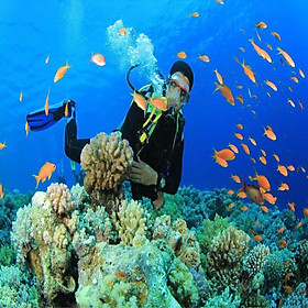 TOUR CÂU CÁ LẶN NGẮM SAN HÔ NAM ĐẢO - PHÚ QUỐC TRONG NGẦY