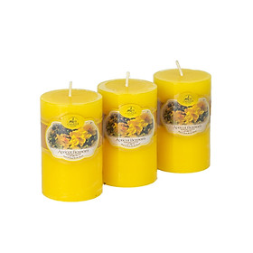 Set 3 nến thơm trụ tròn D5H8 Miss Candle FTRAMART NQM0819 5 x 8 cm (Chọn màu)