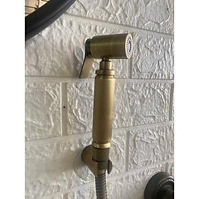 Mua xịt vệ sinh đồng cổ điển EV-4040