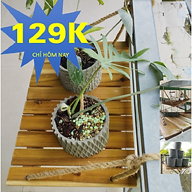 Mua Bàn treo ban công  kệ gỗ treo tường  gấp gọn  không cần lắp ráp  tặng kèm dây thừng.