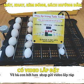 Combo Bộ máy ấp trứng tự động 54 trứng và khay đảo, cho gà vịt ngan ngỗng chim cút, chưa bao gồm thùng xốp