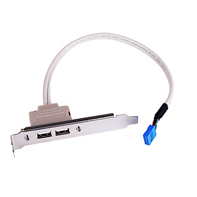 2 Ports USB 2.0 Motherboard Rear Panel Expansion Bracket to 9 Pin Header Cable Adapter Expander Rear Brackets for PC