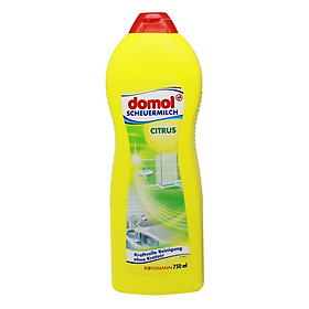 Nước tẩy rửa đa năng Domol hương chanh