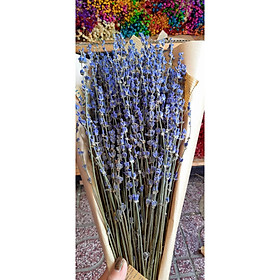 Mua Bó hoa khô hoa lavender 130g tặng kèm túi thơm