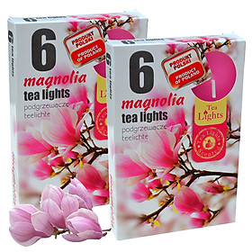 Mua Combo 2 hộp 6 nến thơm Tealight Admit nhập khẩu Châu Âu Magnolia - hoa mộc lan