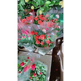 Hoa Hồng Tezza (được chọn màu)