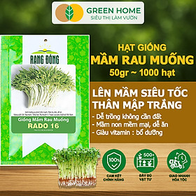 Hạt Giống Mầm Rau Muống Greenhome, Gói 50g~1000 hạt, Dễ Trồng Quanh Năm, Nảy Mầm Cao, Thu Hoạch Nhanh, Năng Suất Cao R14