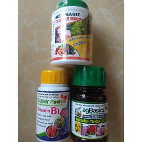 Mua Bộ sản phẩm dưỡng cây chăm sóc cây sứ thái (Ag Basics+super Mg+B1 Super roots ) - 100ml/chai