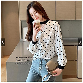 49nh0320-ÁO SƠ MI CHẤM BI KIỂU s-6xl