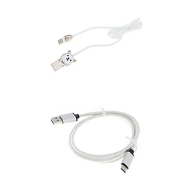 2 Pack USB Type C Data Sync Fast Charging Cable Cord Silver+White