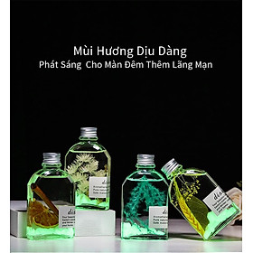 Tinh Dầu Thơm Phòng Miss Coco Có Que Gỗ Khuếch Tán Phát Sáng Ban Đêm -Nước Hoa Thơm Phòng Miss Coco loại 100ml