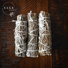 Mua CHỮA LÀNH TÂM HỒN (Xô thơm trắng và Xô thơm xanh)_Size chuẩn 12cm_SAGE GARDEN
