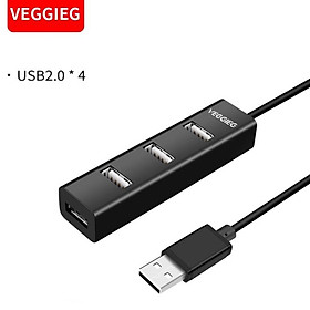 Mua Hup Chia Cổng Usb 1 ra 4 Usb Veggieg 2.0