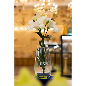 Mua Bình hoa pha lê Tiệp BOHEMIA 2212  cao 24.5 cm  màu trắng trong và xanh lá  kiểu dáng sang trọng  hiện đại - Hàng chính hãng