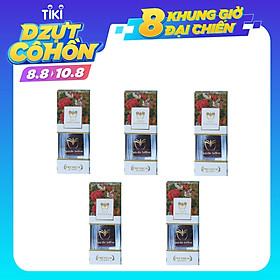 Combo 5 Lọ Nhụy hoa nghệ tây Tashrifat Saffron loại chuẩn Negin 1 Grams