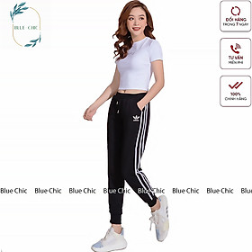 Quần jogger nữ Blue Chic dáng dài 3 sọc thun cạp chun cá tính thể thao tập gym bo gấu