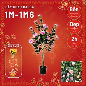 Mua Cây hoa trà giả  hoa trà mi cao cấp decor trang trí nội thất phòng khách phòng ngủ