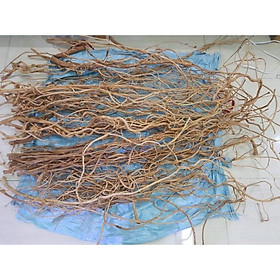 Lũa Rễ Rừng - Trang trí bố cục bể thuỷ sinh bể cá