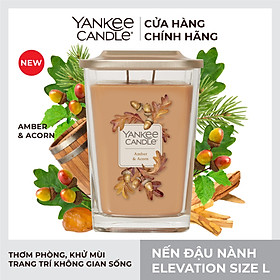 Nến ly vuông Elevation size L - Amber & Acorn (552g)