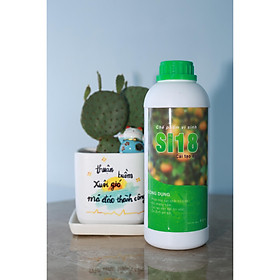 >> BÁO GIÁ CHẾ PHẨM SINH HỌC HỮU CƠ VI SINH TRICHODERMA 1000G (CHỨA NẤM ĐỐI KHÁNG TRICHODERMA,BACILLUS SUBTILIS,STREPTOMYCES SPP) - TRICHODERMA FUNGI 1000G | Shopee Lazada Sendo Tiki mới nhất 232 Chế phẩm Vi Sinh Si18 Cải Tạo Đất - Thương Hiệu ANKAN - Dùng Để Phân Hủy Các Chất Hữu Cơ, Đối Kháng Nấm, Cải Tạo Nền Đất Tơi Xốp, Ổn Định pH Đất - Hàng Chính Hãng