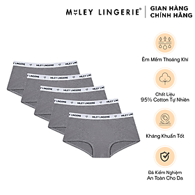 Combo 5 Quần Lót Nữ Cotton Thiên Nhiên BeingMe Miley Lingerie - Màu Xám Nhạt - m
