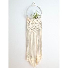 giỏ treo cây không khí trang trí tết dây macrame độc đáo