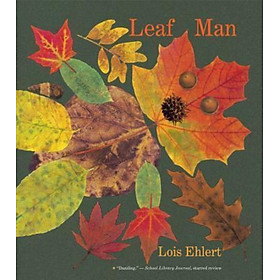 Sách - Leaf Man: Big Book by Lois Ehlert (US edition, paperback)