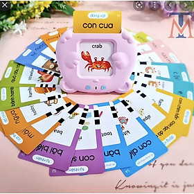 Máy đọc thẻ song ngữ tiếng Việt và tiếng Anh, máy đọc thẻ song ngữ gồm 112 thẻ, 225 thẻ, máy đọc thẻ Tuệ Minh