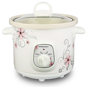 Nồi Hầm Điện Rongstar RBC-15M (1.5L)