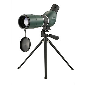 Màn hình 3 chân Tripod Dalite (60’’ x 60’’) 1:1