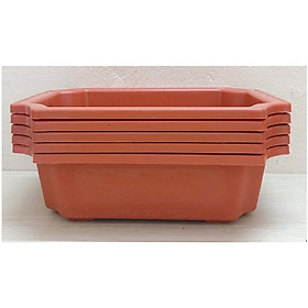 5 Ang Chữ Nhật Trồng Hoa Cây Cảnh 240x170x70mm