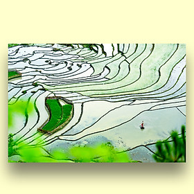 Mua Tranh Treo Tường Canvas Phong Cảnh Ruộng Bậc Thang Vùng Cao Tây Bắc Việt Nam - Công Nghệ In UV Nhật Bản - Màu Sắc Đẹp Rõ Nét