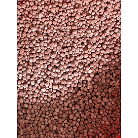 Mua 1kg Phân NPK 20-20-15 + TE Đâm chồi  ra lá mạnh  kích thích ra rễ phục hồi sau khi cắt tỉa  Kích thích ra hoa nhiều To trái