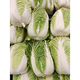 Hạt giống CẢI THẢO chịu nhiệt cao sản tỷ lệ nảy mầm cao,Năng Suất, Giòn, Ngọt, Giàu Dinh Dưỡng
