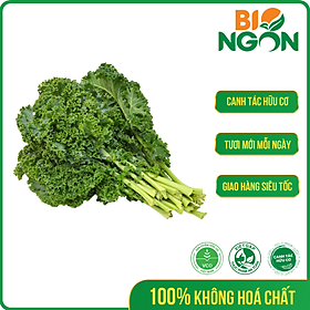 [Chỉ Giao HCM] - Cải Xoắn Kale (Gói 250g)