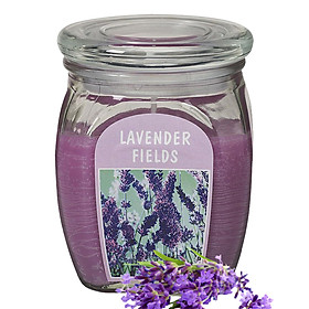 Mua Hũ nến thơm tinh dầu Bolsius Lavender Fields 305g QT024366 - cánh đồng oải hương