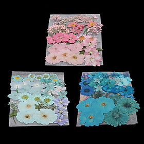 Multiple Dried Flowers Pink Real Pressed DIY Making Crafts Handmade Soap