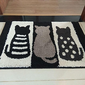 THẢM CHÙI CHÂN CHỐNG TRƯỢT SIÊU THẤM 45x65CM, CAM KẾT HÀNG 100% Y HÌNH