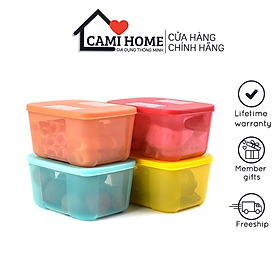 Mua Bộ Hộp Trữ Đông Freezermate Rainbow Tupperware  Hộp Bảo Quản Thực Phẩm  Nhựa Nguyên Sinh An Toàn