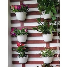 ỐpbánNguyệtgắntường13nghìn
