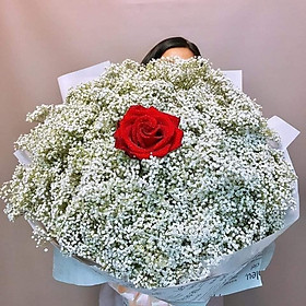 Mua Bó Hoa Tươi TT 203