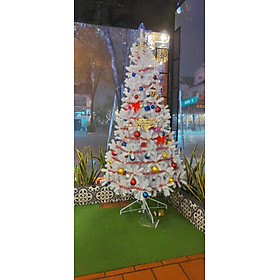 Cây thông noel màu trắng đầu tròn 2in (Cây 210cm)