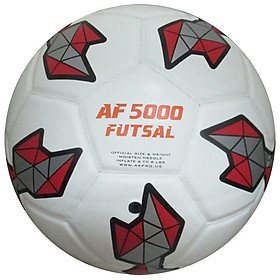 Bóng Futsal AKPro AF 5000