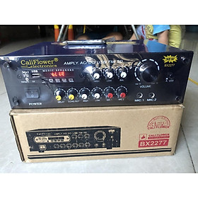 Mua AMPLY KARAOKE MINI DC BX2277BL 12V USB - CALIPLOWER